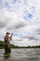 Fox Prut Horizon X4 Cork Handle 3,66 m (12 ft) 3 lb (8)