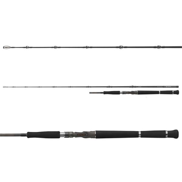 Daiwa Prut Pro Staff Baitcast Catfish 1,9 m 180 g