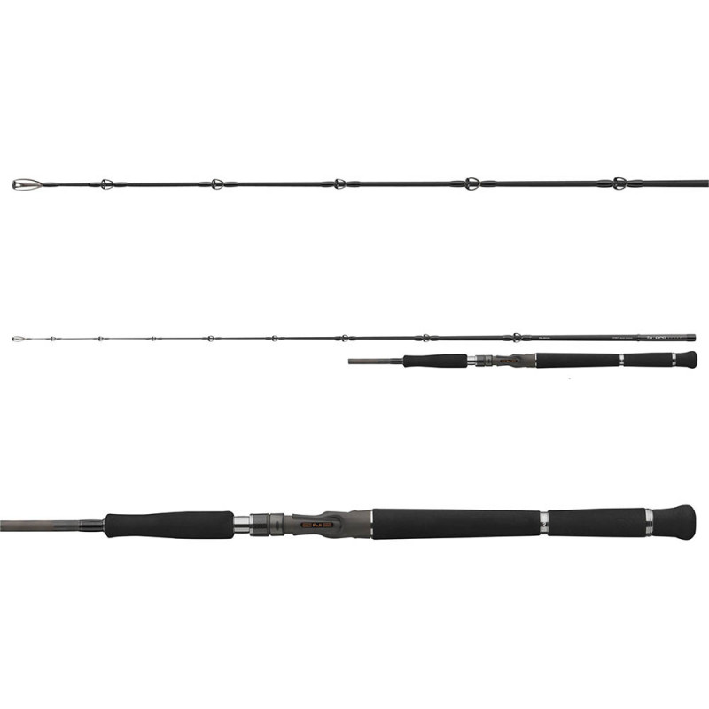 Daiwa prut pro staff baitcast catfish 1,9 m 180 g