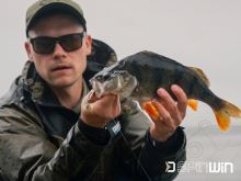 Delphin Wobler Vibrační SpinWIN Danger (7)