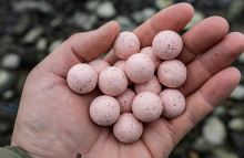 Carp Inferno Boilies Nutra Line Losos Mango (1)