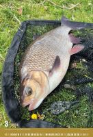 ČRS Nástěnný Rybářský Kalendář Na Rok 2024 (3)