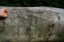 Giants Fishing Prut Radiant Mix Feeder 3,3 m 50-90 g + Naviják Deluxe FD 3000 (6)