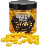 Starbaits Kukuřice Bright Ready Seeds 250 ml (2)