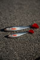 Fox Rage Gumová Nástraha Zander Pro Shad UV Golden Shiner (13)