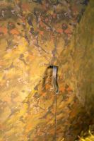 One More Cast Přístřešek The Noble Wind Shelter (7)