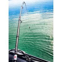 Penn Prut Legion Cat Silver Allround 2,4 m 200-400 g (8)