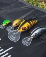 Salmo Wobler Rattlin Hornet Floating Hot Perch (7)