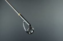 Sportex Prut Absolut Level 3 Baitcast SharpShoot 2,25 m 65-125 g (13)