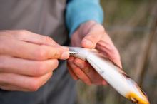 Berkley Gumová Nástraha Powerbait Chop Block Albino Trout (4)