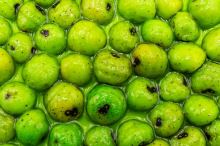 My-Baits Tygří Ořech RainbowSix Fluoro Tigernuts 150 ml Holy Crab (4)