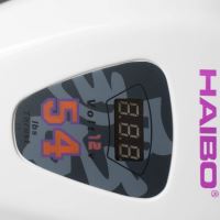 Haibo Elektromotor D54 54 LBS 12 V (6)