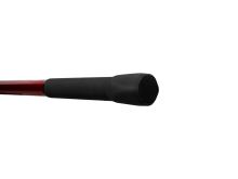 Delphin Prut Amulet Carp 3 m 2,5 lb (2)