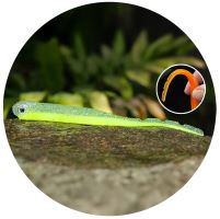 Redbass Smáček Big Snake Signal Yellow G UV COLOR - 15,5 cm 11 g