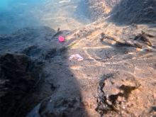 Delphin Olověná Zátěž CyberBARBED TUBE (3)