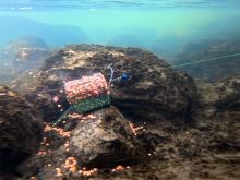 Delphin Krmítko S Olověnou Zátěží RiverSTIX (6)