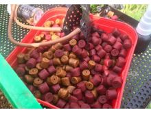 FeederBait Method Pellet 12 mm 800 g (3)