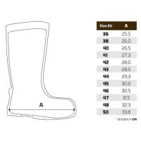 Delphin Holínky Bronto (5)