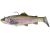 Savage Gear Gumová Nástraha 3D Trout Shad Clear Rainbow Trout