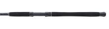 Mitchell Prut Tanager SW Boat Rod 2,1 m 100-200 g (3)