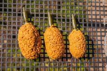 Preston Innovations Krmítko ICS In-Line Dura Flat Method (4)