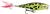 Rapala Wobler Skitter Pop Top Water Fresh LF