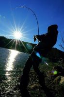 Imperial Baits Prut Max Nollert Temptation MK3 3,66 m (12 ft) 2,75-3,25 lb (3)