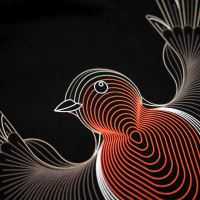 Kumu Tričko Little Red (2)