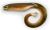 Black Cat Gumová Nástraha Mega Curl Tail 22 cm - Eel