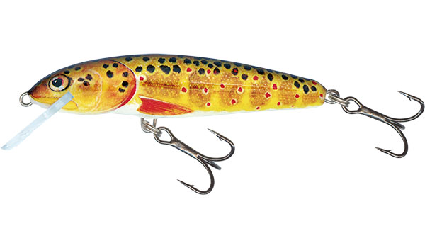 Levně Salmo wobler minnow floating trout - 6 cm 4 g