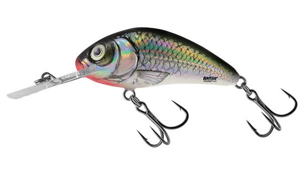 Salmo wobler rattlin hornet floating holo bleak - 4,5 cm 6 g