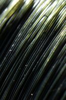 Nash Vlasec Armourline Super Strong Mono Green 1000 m (2)