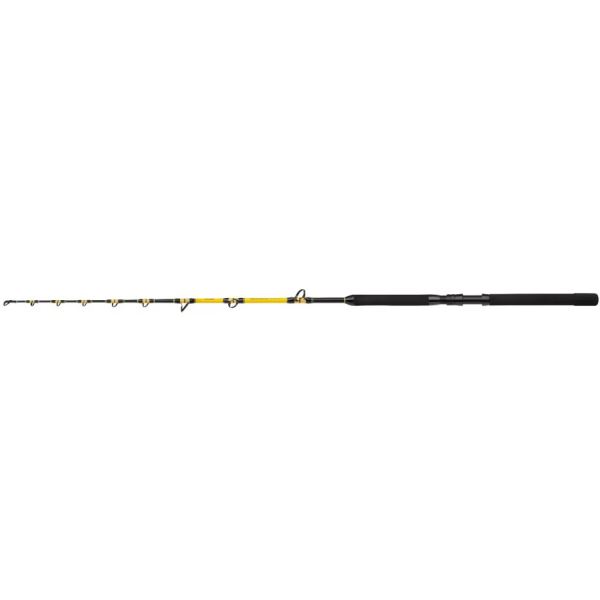 Shimano Prut Beastmaster CX Standup Spiral 1,65 m 80 lb