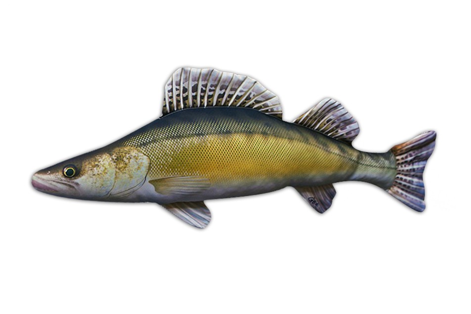 Levně Gaby plyšová ryba candát 77 cm