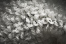 Geoff Anderson Ponožky WizWool Heavy Weight Šedé (3)