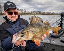 Savage Gear Gumová Nástraha Cannibal Minnow V-Tail Blue Chart (4)