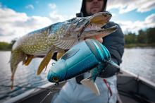 Fox Rage Gumová Nástraha Jointed Replicants Fire Tiger UV (4)