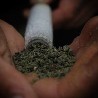 Munch Baits Stickmix Bio Marine 1 kg (3)