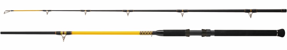 Wft prut never crack catfish boat 2,1 m 250-1000 g