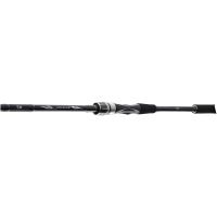 Daiwa Prut Exceler Spin 2,7 m 40-80 g (5)
