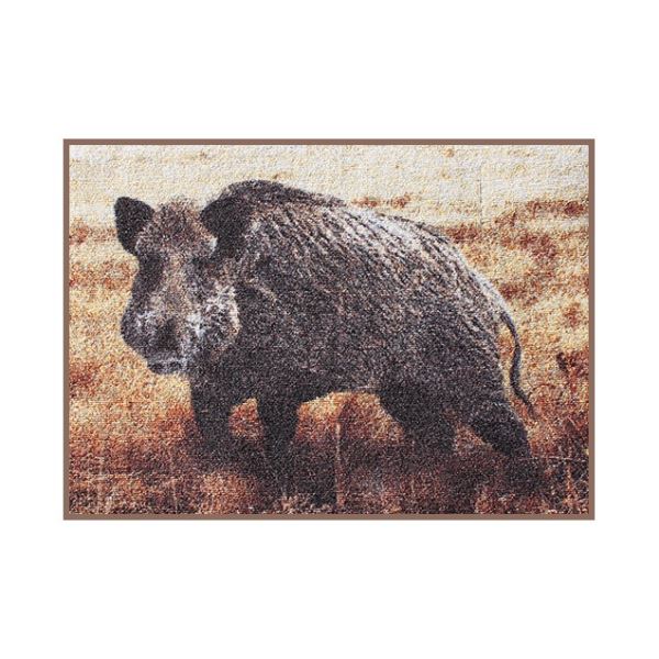 Delphin Rohož 3D Divočák