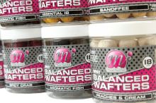 Mainline Vyvážené Boilie High Impact Balanced Wafter Essential I.B. (1)