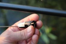 Nash Swinger The Wasp Indicator (4)