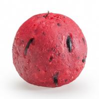 Mivardi Boilies Rapid Easy Catch Anglická Jahoda (1)