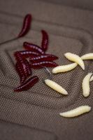 Korum Umělý Červ Floating Grubs Imitation Maggots 40 ks (2)