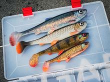 Savage Gear Gumová Nástraha 3D Herring Shad V2 Green Silver (2)