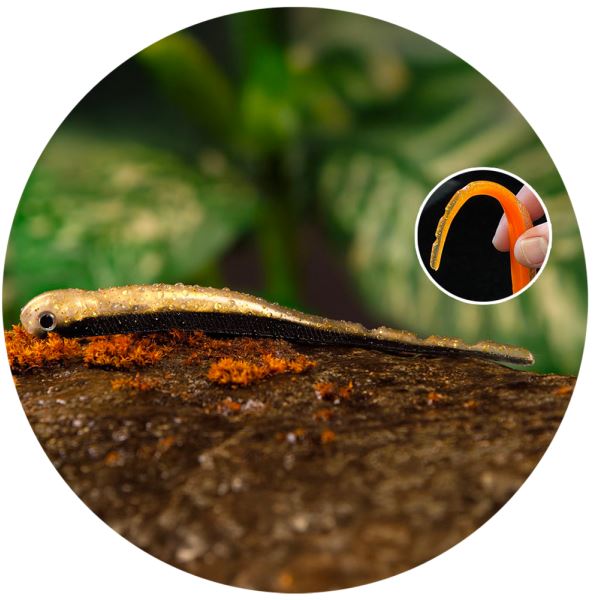 Redbass Smáček Big Snake Bass