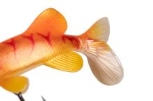 Fox Rage Gumová Nástraha Ultra Realistic Replicant Pike Golden Pike (3)