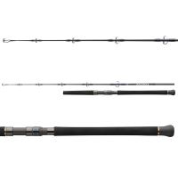 Daiwa Prut Saltiga Jigging 1,7 m 150-300 g (1)