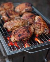 Fox Gril Cookware Foldable BBQ (23)